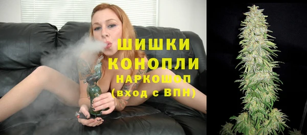 СК Инсар