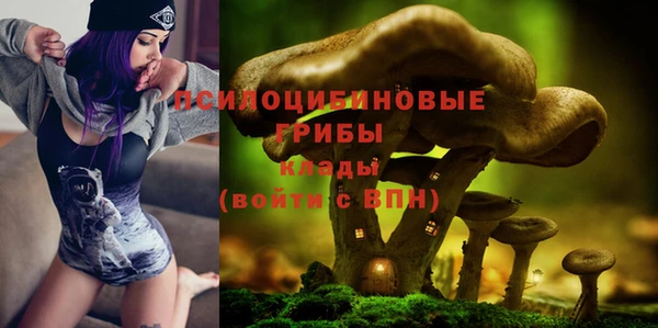 молекула духа Иннополис
